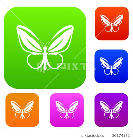 Butterfly set collection Butterfly set collection 36174181