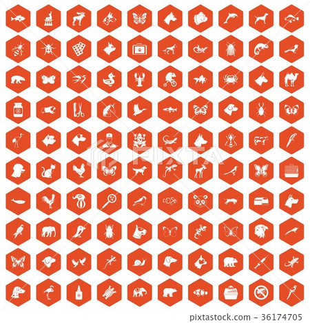 100 animals icons hexagon orange 36174705
