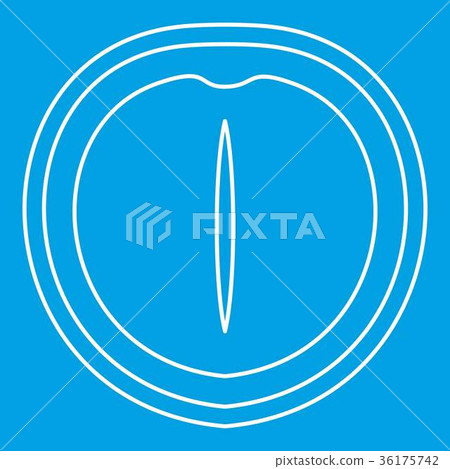 Macadamia nut icon, outline style Macadamia nut icon, outline style 36175742