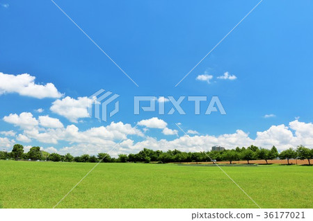 A refreshing blue sky and a beautiful park A refreshing blue sky and a beautiful park 36177021