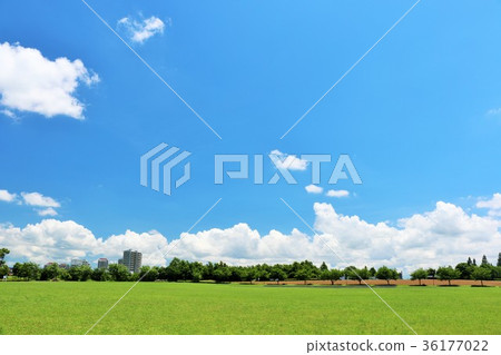 A refreshing blue sky and a beautiful park A refreshing blue sky and a beautiful park 36177022