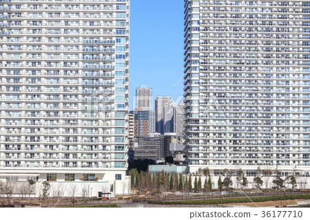 Urban scenery Harumi high-rise apartment group 36177710