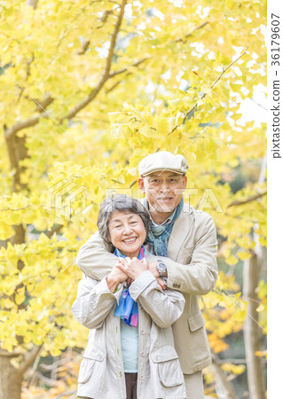 Senior Oshidori couple Autumn leaves 36179607