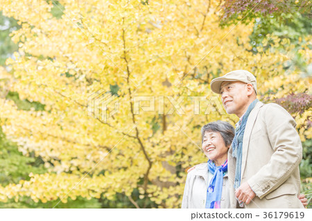 Senior Oshidori couple Autumn leaves 36179619