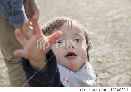 嬰兒伸出母親 36180594