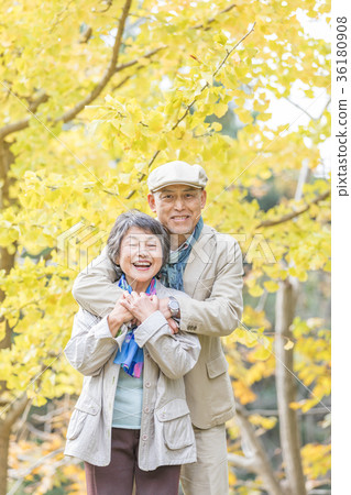Senior Oshidori couple Autumn leaves Senior Oshidori couple Autumn leaves 36180908