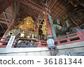 Nara Todaiji Temple 36181344