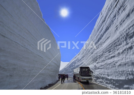 Otani of Tateyama Snow 36181810