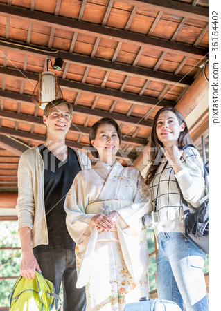 Inbound Tourist Female General Ryokan Accommodation Information 36184402