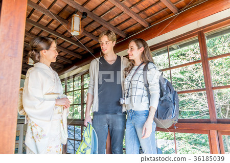 Inbound Tourist Female General Ryokan Accommodation Information 36185039