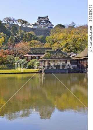 Hikone Castle Genguoen and Tenshu (scar mark of typhoon 21) in autumn 36185072