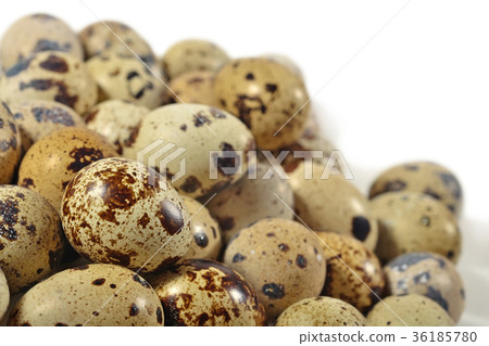 Quail eggs close up on a white Quail eggs close up on a white 36185780