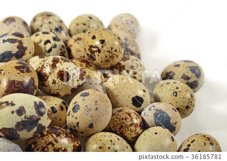 Quail eggs close up on a white Quail eggs close up on a white 36185781