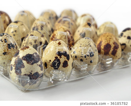 Quail eggs in a transparent plastic container 36185782