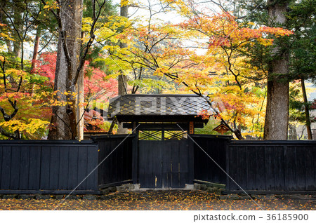 Autumn's Kakunoda samurai house street 36185900