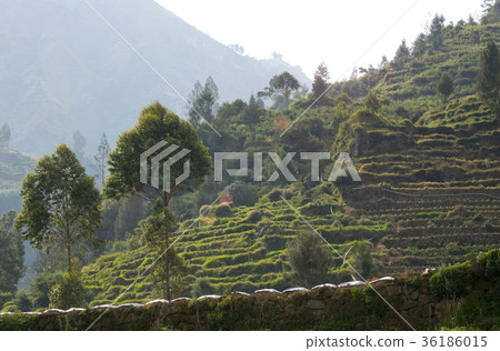 Java, Indonesia. A view from the mountain road on  36186015