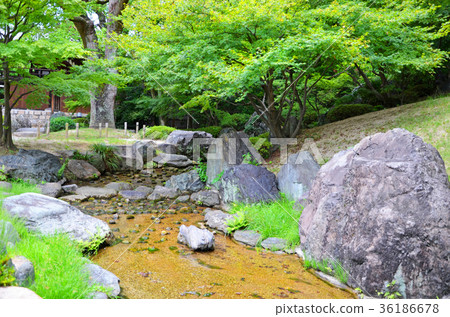 Japanese garden of Osaka Shitennoji 36186678