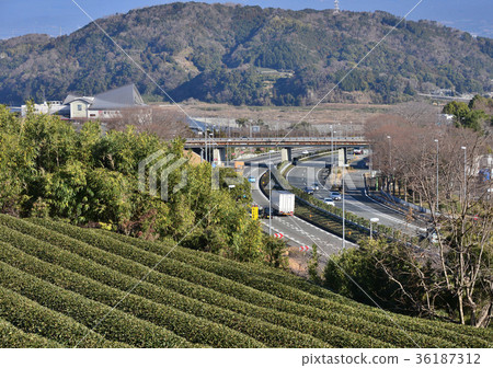 Tomei Expressway-16375 36187312