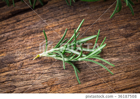 Fresh green Rosemary bound on a wooden board 36187508