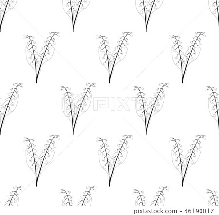 White Lily of the Valley Seamless on White  36190017