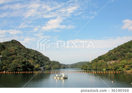 Hase dam (Fukuoka City) 36190568