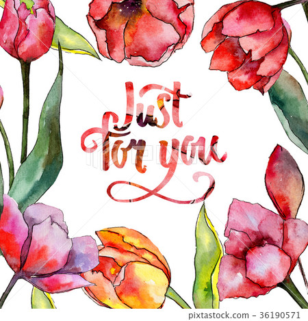 Wildflower tulip flower frame in a watercolor 36190571