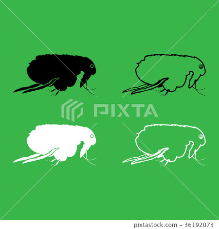 Flea icon Black and white color set Flea icon Black and white color set 36192073