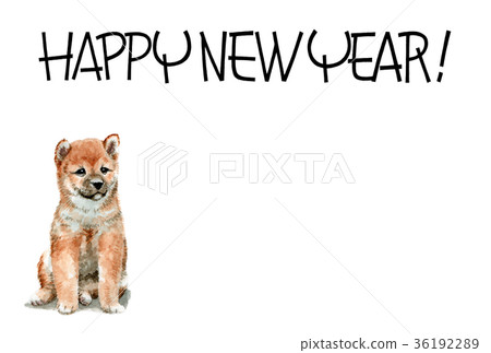 New Year's card postcard material Shiba Inu Horizontal type New Year's card postcard material Shiba Inu Horizontal type 36192289