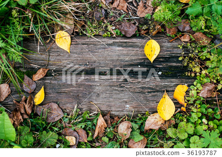 A beautiful wooden background, a leaf of a yellow A beautiful wooden background, a leaf of a yellow 36193787