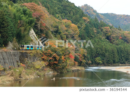 Mizugori線“11月中旬的山區風景” Mizugori線“11月中旬的山區風景” 36194544