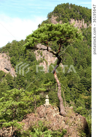 Horaizan Horaizan 36195647