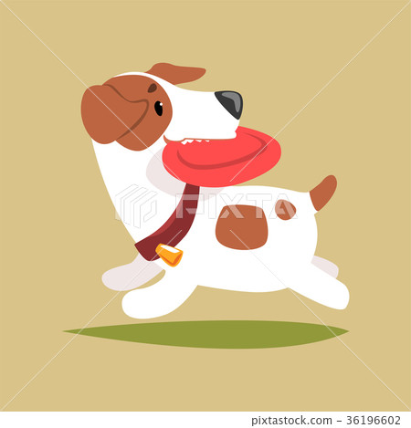Jack russell puppy character playing with disk 36196602