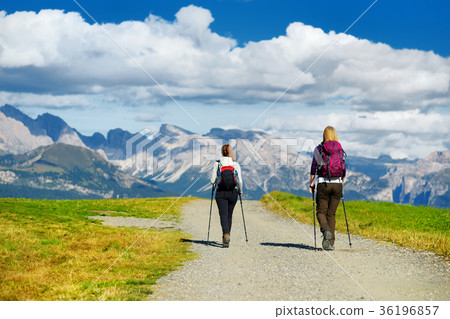 Tourists hiking in Seiser Alm, the largest high altitude Alpine meadow in Europe Tourists hiking in Seiser Alm, the largest high altitude Alpine meadow in Europe 36196857