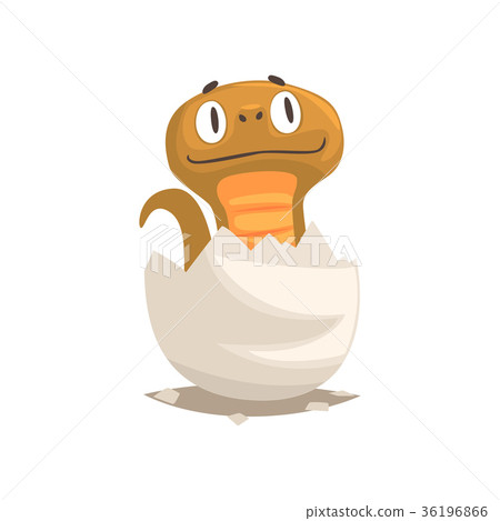 Funny snake baby in broken egg shell 36196866
