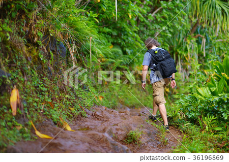 Young male tourist hiking on the famous Kalalau trail along Na Pali coast of the island of Kauai Young male tourist hiking on the famous Kalalau trail along Na Pali coast of the island of Kauai 36196869