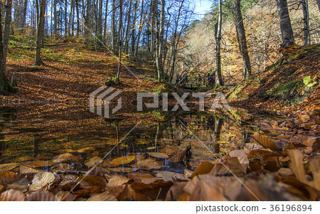 Autumn scenes in seven lakes, Bolu, Turkey Autumn scenes in seven lakes, Bolu, Turkey 36196894