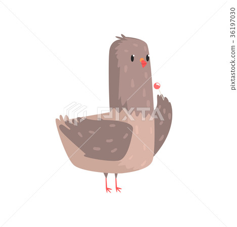 Funny dove standing with chupa chups 36197030