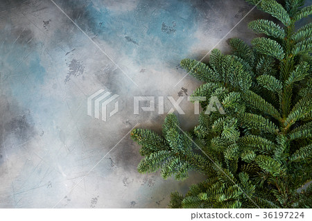 Christmas background with evergreen tree Christmas background with evergreen tree 36197224