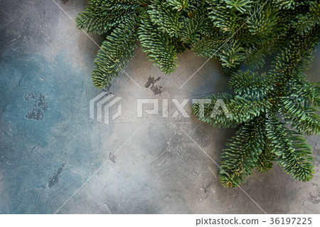 Christmas background with evergreen tree Christmas background with evergreen tree 36197225