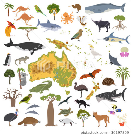 插圖素材: australia and oceania flora and fauna map 查看全部