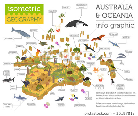 Isometric Australia and Oceania flora and fauna Isometric Australia and Oceania flora and fauna 36197812