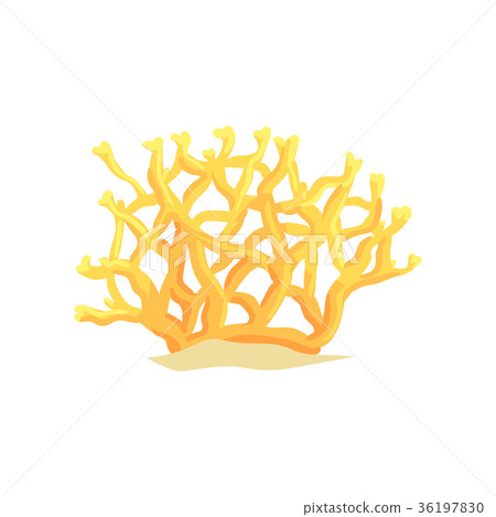 Yellow tropical underwater plant. Bright coral on Yellow tropical underwater plant. Bright coral on 36197830