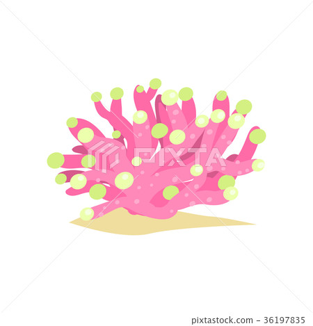 Colored soft tube shaped coral from tropical reefs Colored soft tube shaped coral from tropical reefs 36197835