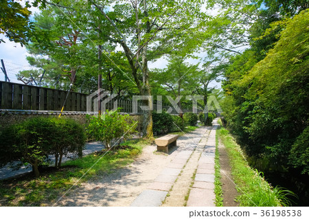 京都市哲學之路 36198538