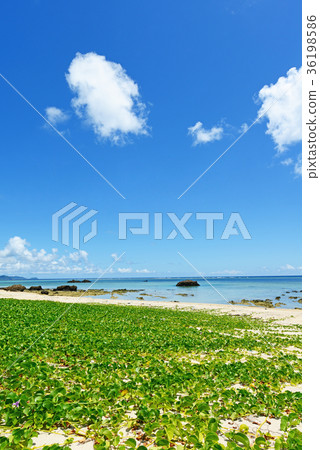 Beautiful beach of Okinawa 36198586