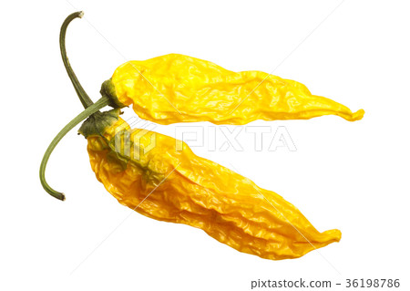 Dried Aji Pineapple C baccatum, top, paths 36198786