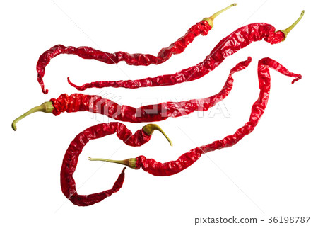 Dried Bangalore WT chile annuum x frutescens, top Dried Bangalore WT chile annuum x frutescens, top 36198787