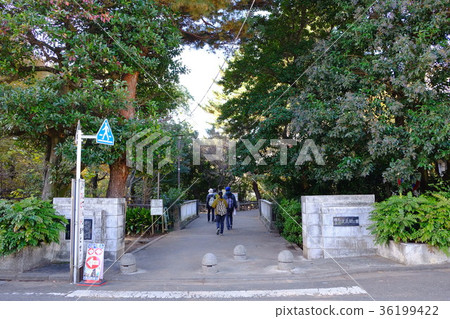 Musashi Seki Park Nerima-ku Tokyo 36199422