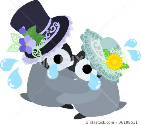 Scary fashionable and pretty baby penguin Scary fashionable and pretty baby penguin 36199611