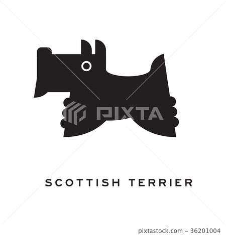Scottish terrier dog silhouette isolated on white 36201004